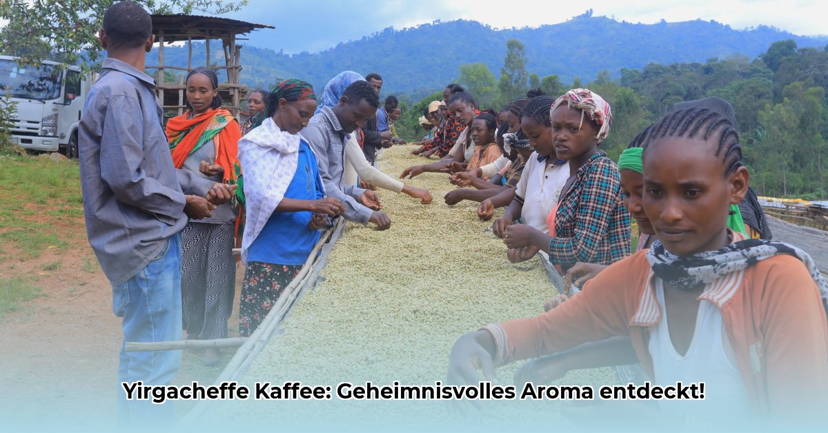 yirgacheffe-kaffee